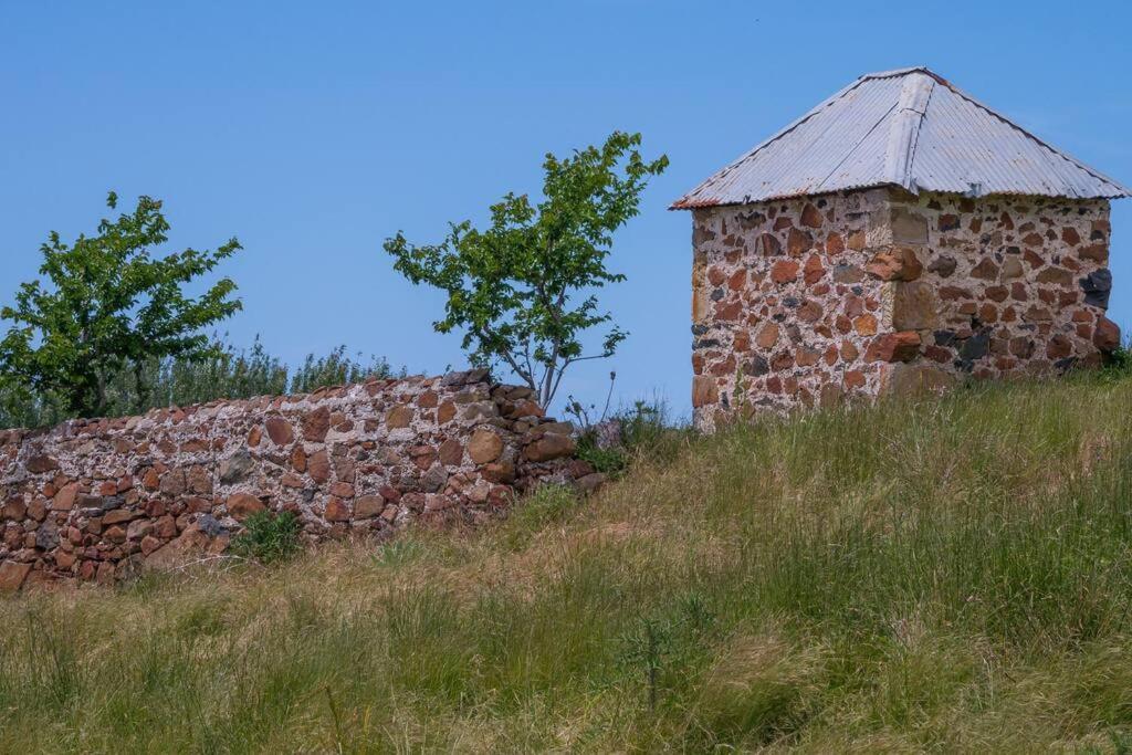 Little Swanport*Newly Relisted* Coach House At Lisdillon Vineyard别墅 外观 照片