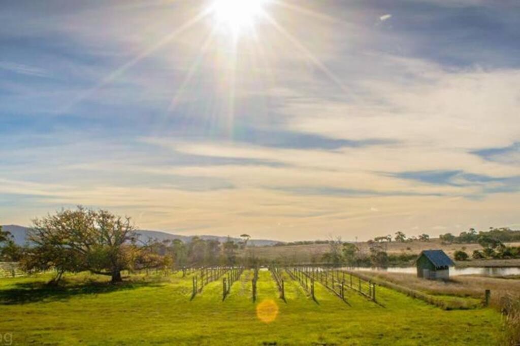 Little Swanport*Newly Relisted* Coach House At Lisdillon Vineyard别墅 外观 照片