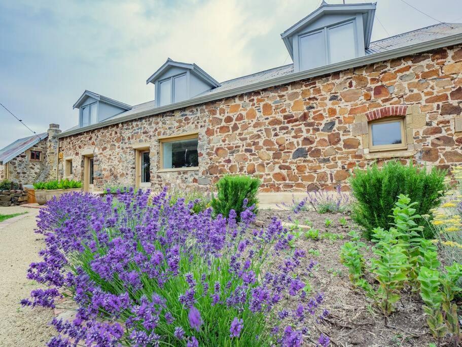 Little Swanport*Newly Relisted* Coach House At Lisdillon Vineyard别墅 外观 照片